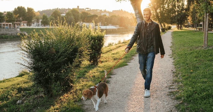 Man walking his dog around after getting dental fillings at Sparkling Dental